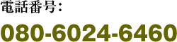 dbԍF080-6024-6460